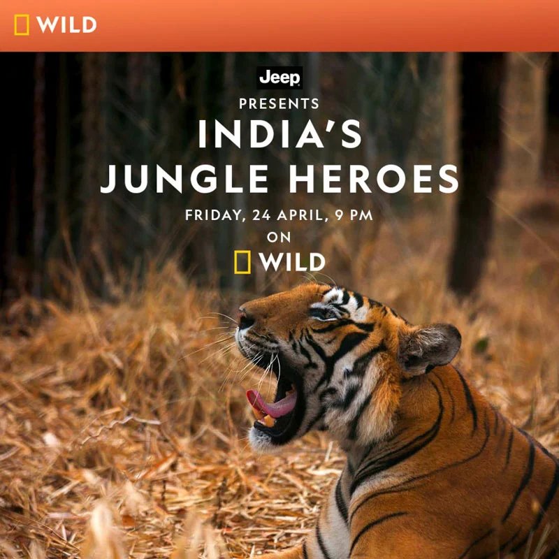 India's Jungle Heroes