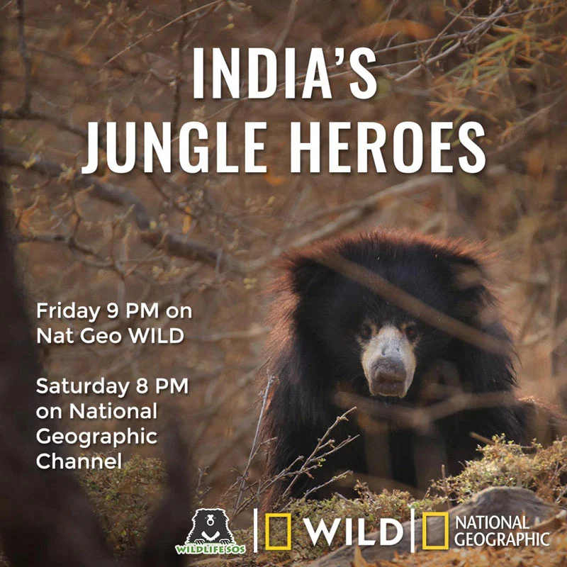 India's Jungle Heroes