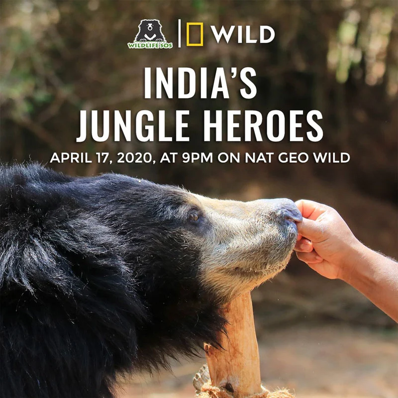 India's Jungle Heroes