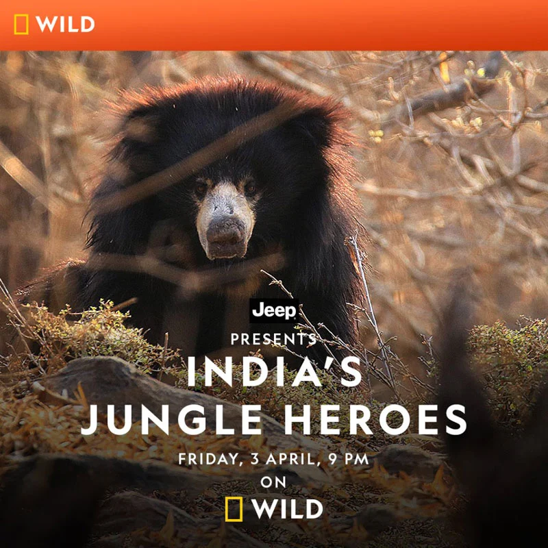 India's Jungle Heroes