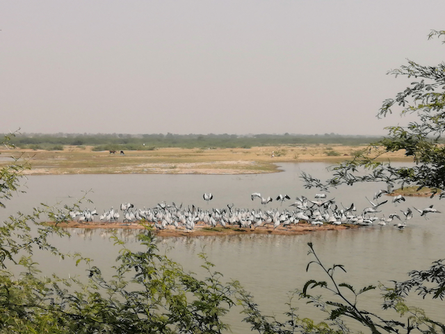 our planet on the move