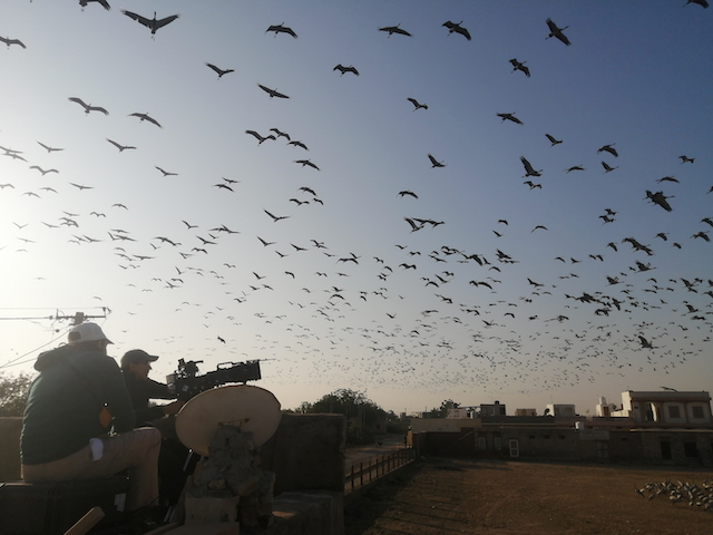 Our Planet on the Move