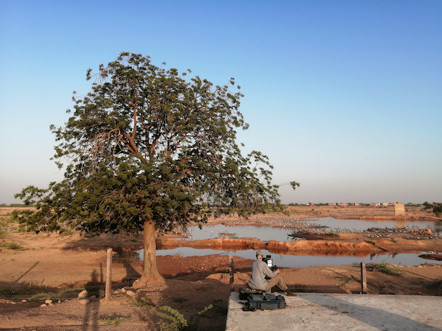 Our Planet on the Move