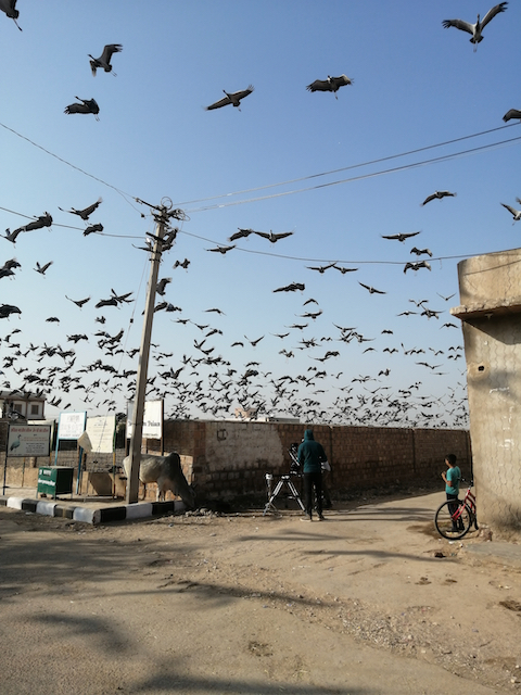 Our Planet on the Move