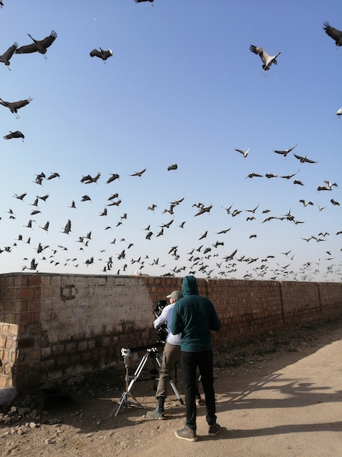 Our Planet on the Move