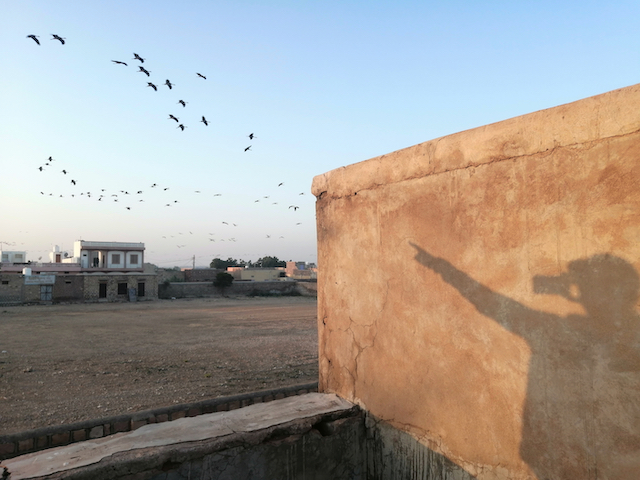 Our Planet on the Move