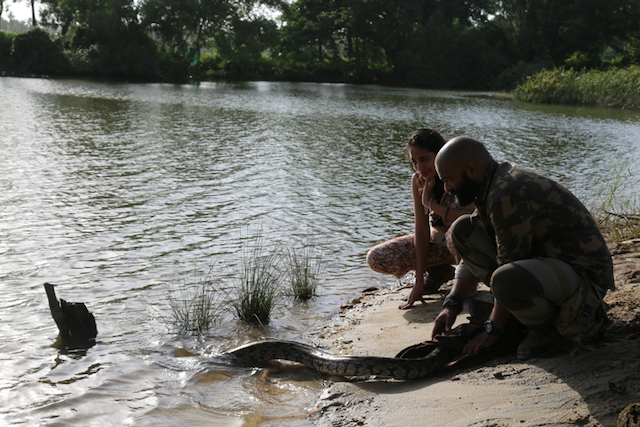 Snakes SOS Goa's Wildest