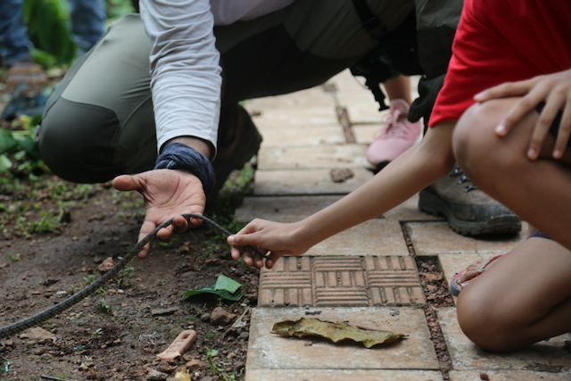 Snakes SOS Goa's Wildest