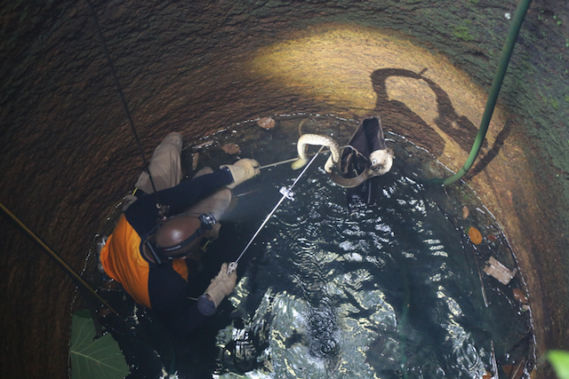 Snakes SOS Goa's Wildest