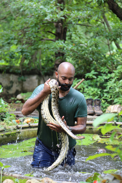 Snakes SOS Goa's Wildest