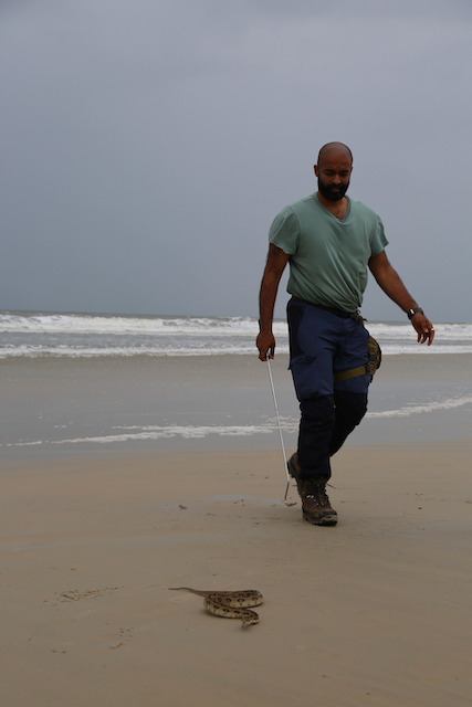 Snakes SOS Goa's Wildest