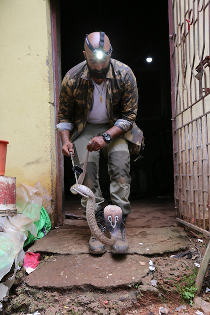 Snakes SOS Goa's Wildest