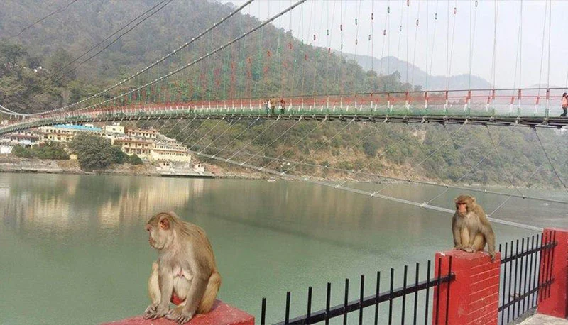 Invitation au Voyage